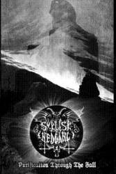 Syklisk Nedgang : Purification Through the Fall